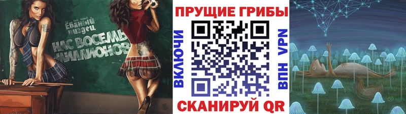 Купить закладки  Валуйки  Галлюциногенные грибы MAGIC MUSHROOMS 